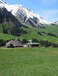 Alpkarierung Alp Stafelschwand